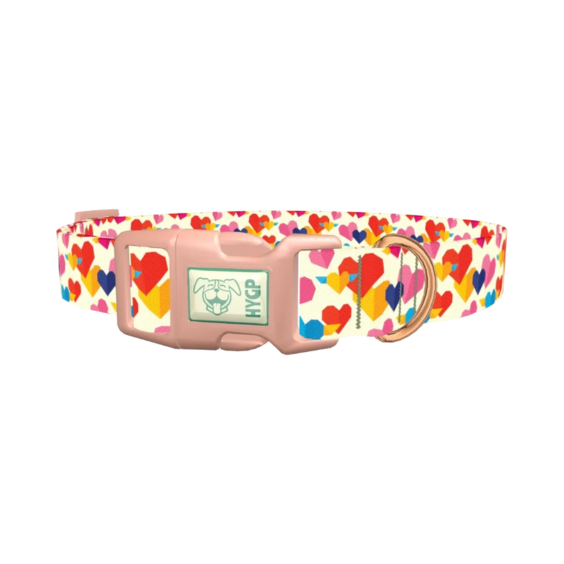 Winged Geometric Heart Dog Collar - plastic rose gold