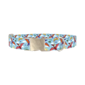 Dinosaur Adventure Dog Collar - metal silver