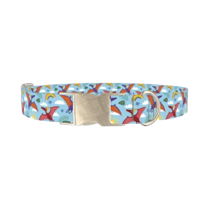 Dinosaur Adventure Dog Collar - metal silver