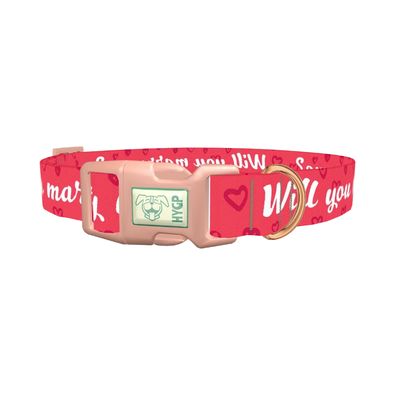 Heart Phrase Dog Collar - plastic rose gold