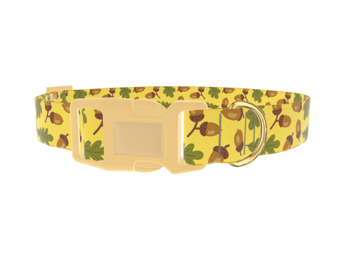 Fall Acorn Dog Collar