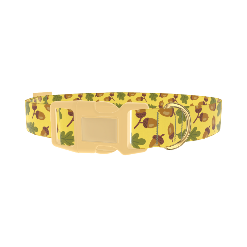 Fall Acorn Dog Collar - plastic gold
