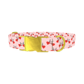Valentine Heart Bike Dog Collar - metal gold