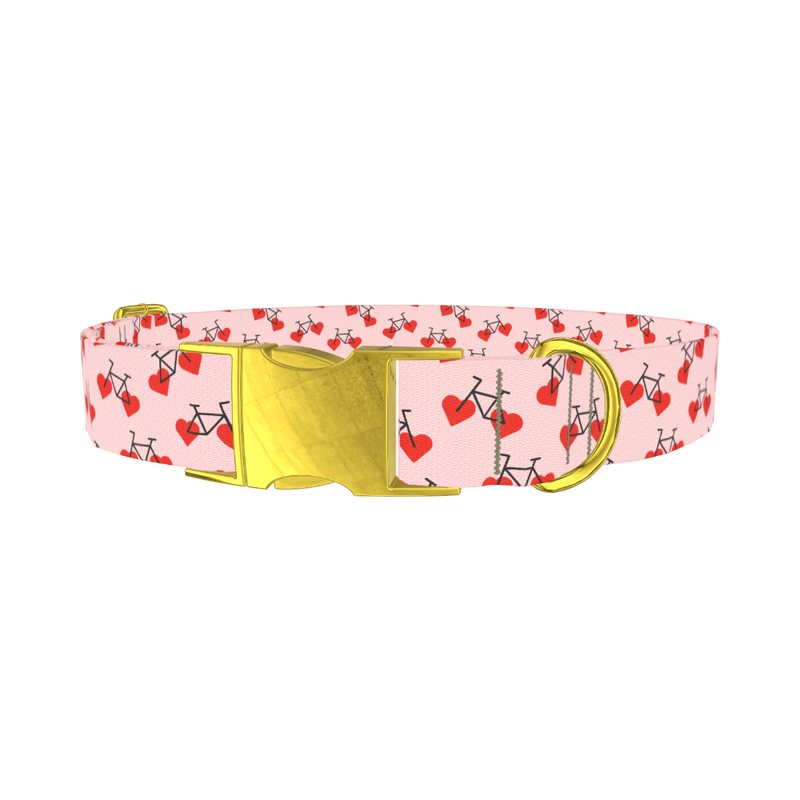Valentine Heart Bike Dog Collar - metal gold