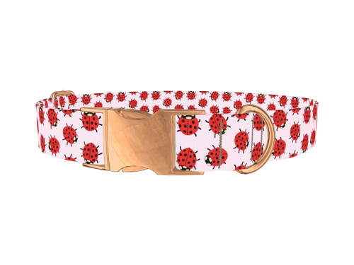 Ladybug Print Dog Collar