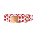 Ladybug Print Dog Collar - metal rose gold