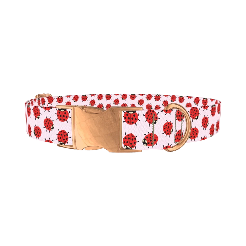 Ladybug Print Dog Collar - metal rose gold