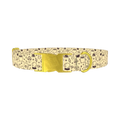 Witchy Halloween Dog Collar - metal gold