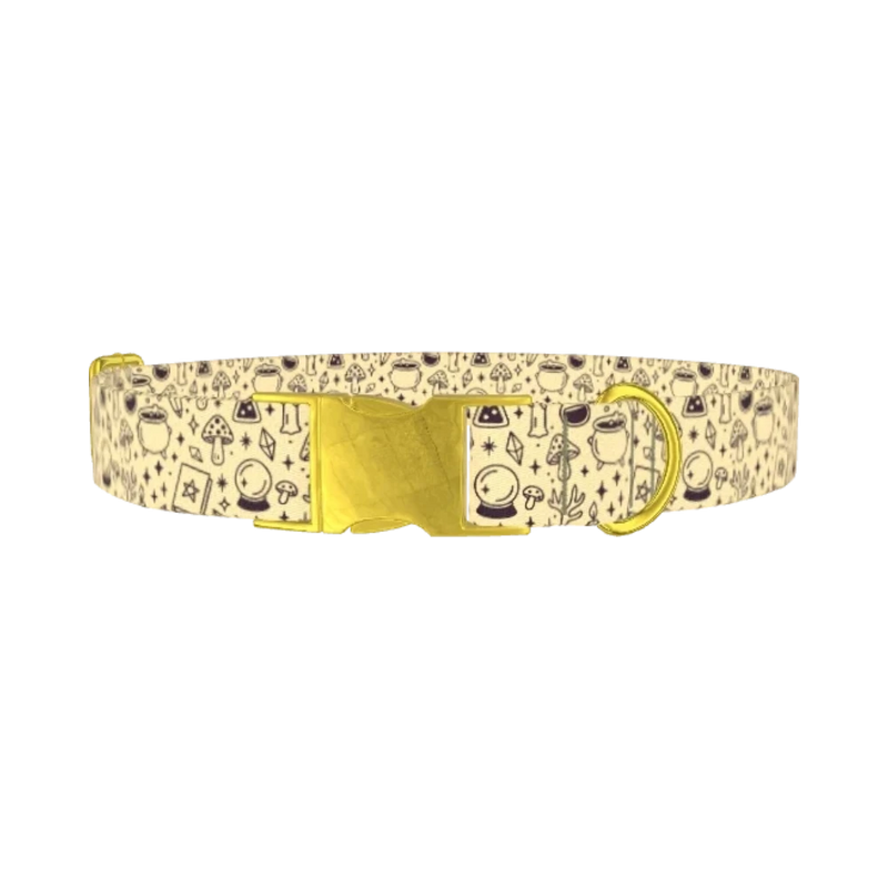Witchy Halloween Dog Collar - metal gold