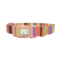 Green Striped Dog Collar - plastic rose gold