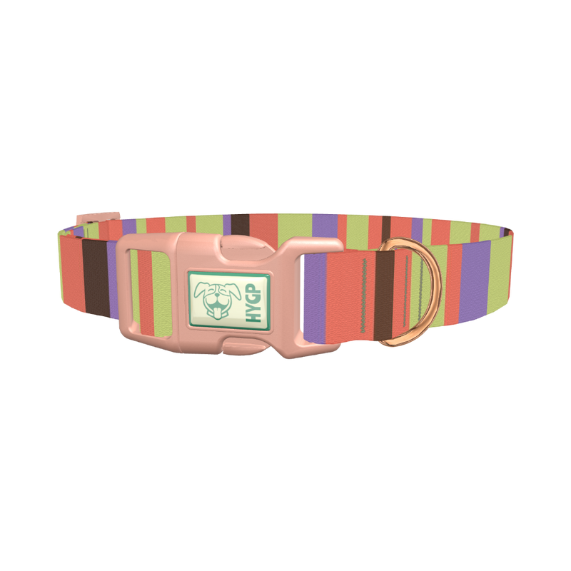 Green Striped Dog Collar - plastic rose gold
