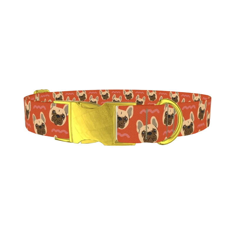 French Bulldog Dog Collar - metal gold