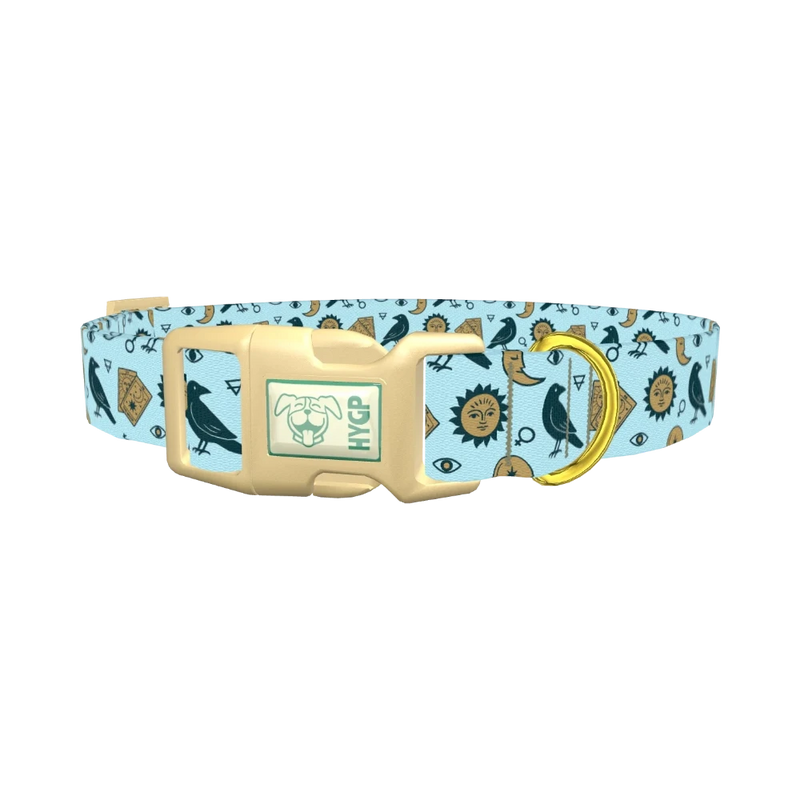 Mystical Crow Dog Collar - plastic gold