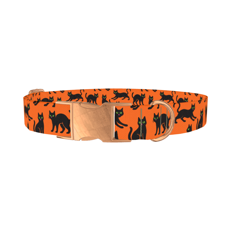 Halloween Black Cat Dog Collar - metal rose gold