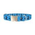 Blue Witch Sky Dog Collar - metal silver