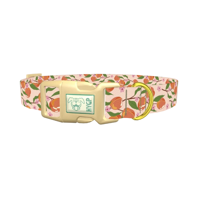 Peach Blossom Dog Collar - plastic gold