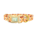 Dia de los Muertos Dog Collar - plastic gold
