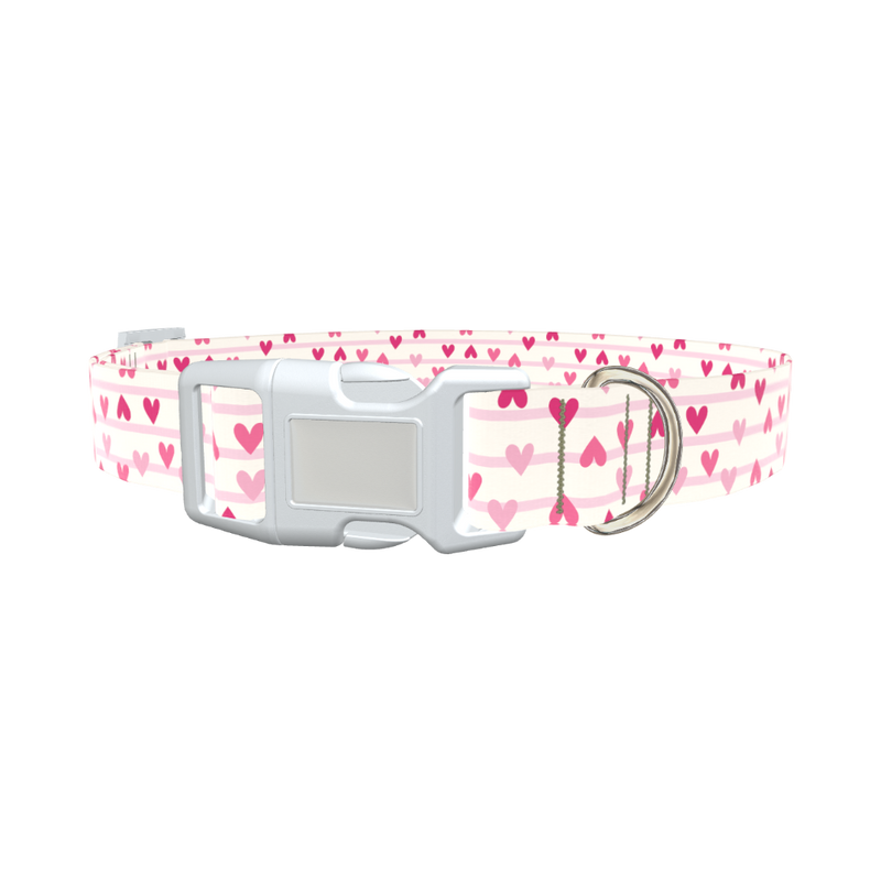 Striped Heart Dog Collar - plastic gold