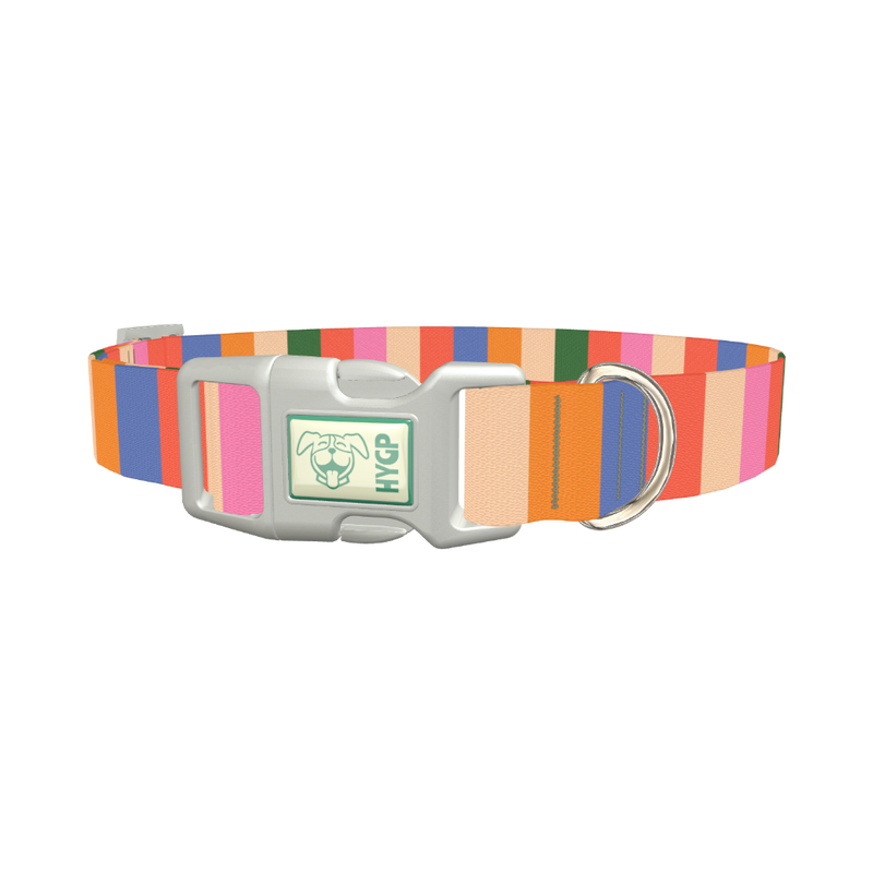 Colorful Stripe Pattern Dog Collar - plastic silver