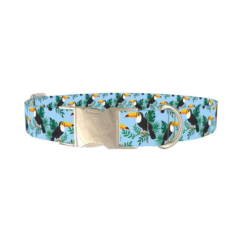 Tropical Toucan Dog Collar - metal silver