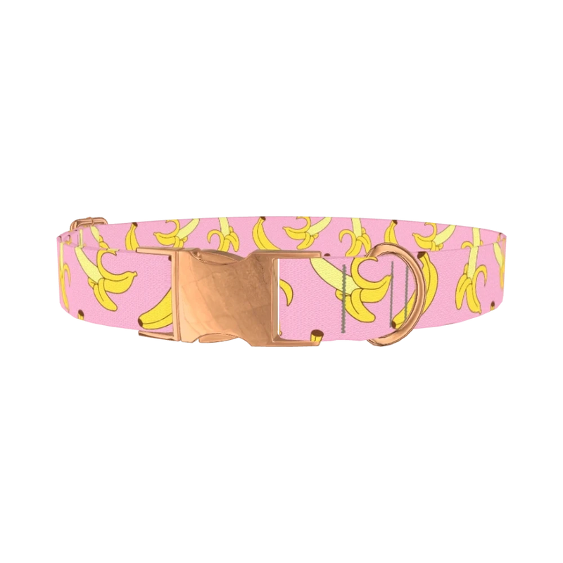 Pink Banana Pattern Dog Collar - metal rose gold