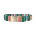 Green Orange Stripe Dog Collar - metal silver