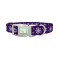 Mystical Sun Eye Dog Collar - plastic silver