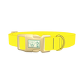 Yellow-Bellied Color Dog Collar - plastic gold