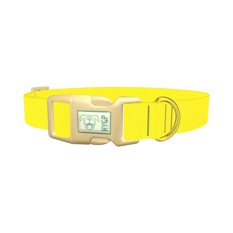 Yellow-Bellied Color Dog Collar - plastic gold