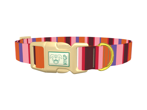 Warm Stripe Dog Collar