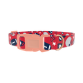 Red Football Trophy Dog Collar - plastic rose gold