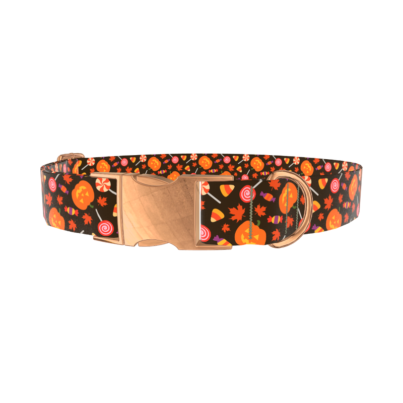 Halloween Candy Pumpkin Dog Collar - metal silver