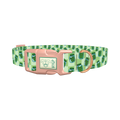 Pickle Jar Dog Collar - plastic rose gold