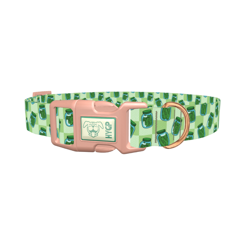 Pickle Jar Dog Collar - plastic rose gold