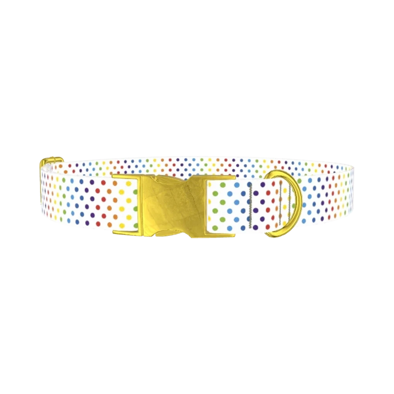 Rainbow Polka Dot Dog Collar - metal gold