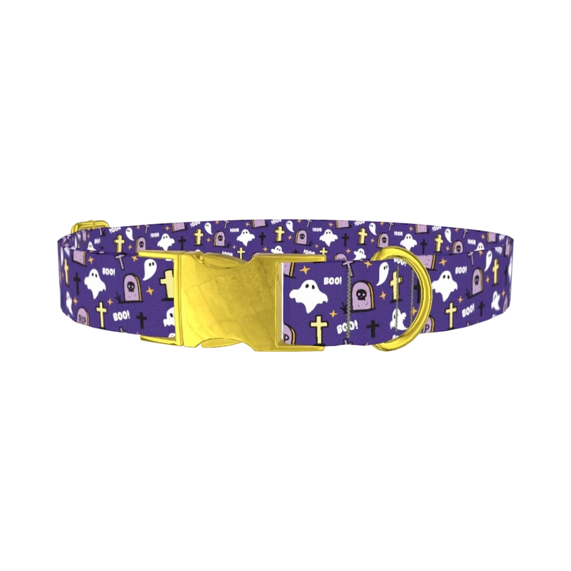 Purple Graveyard Halloween Dog Collar - metal gold