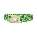 Tropical Jungle Leaves Dog Collar - plastic gold