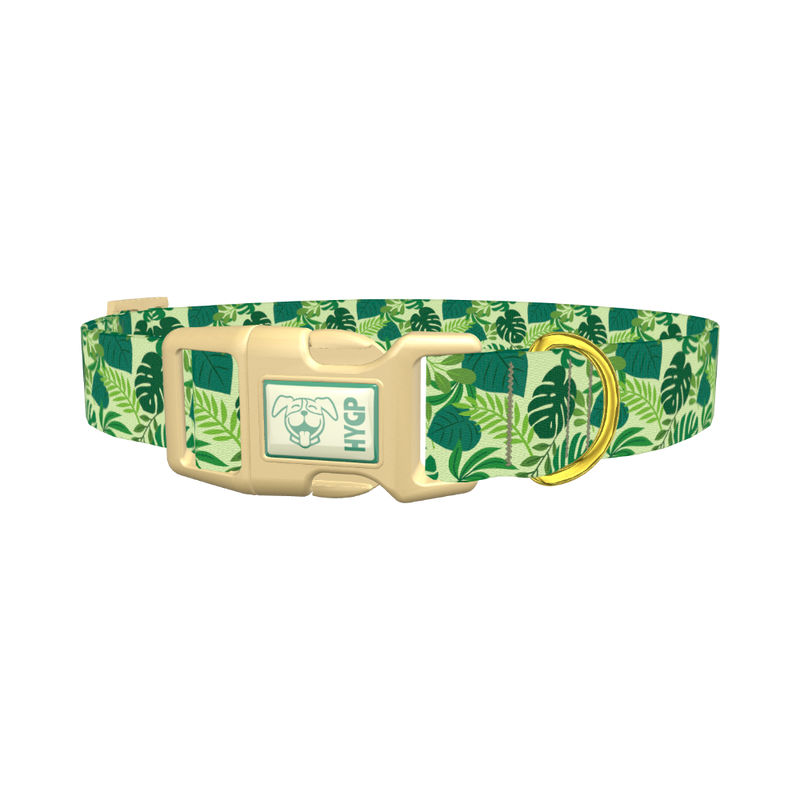 Tropical Jungle Leaves Dog Collar - plastic gold