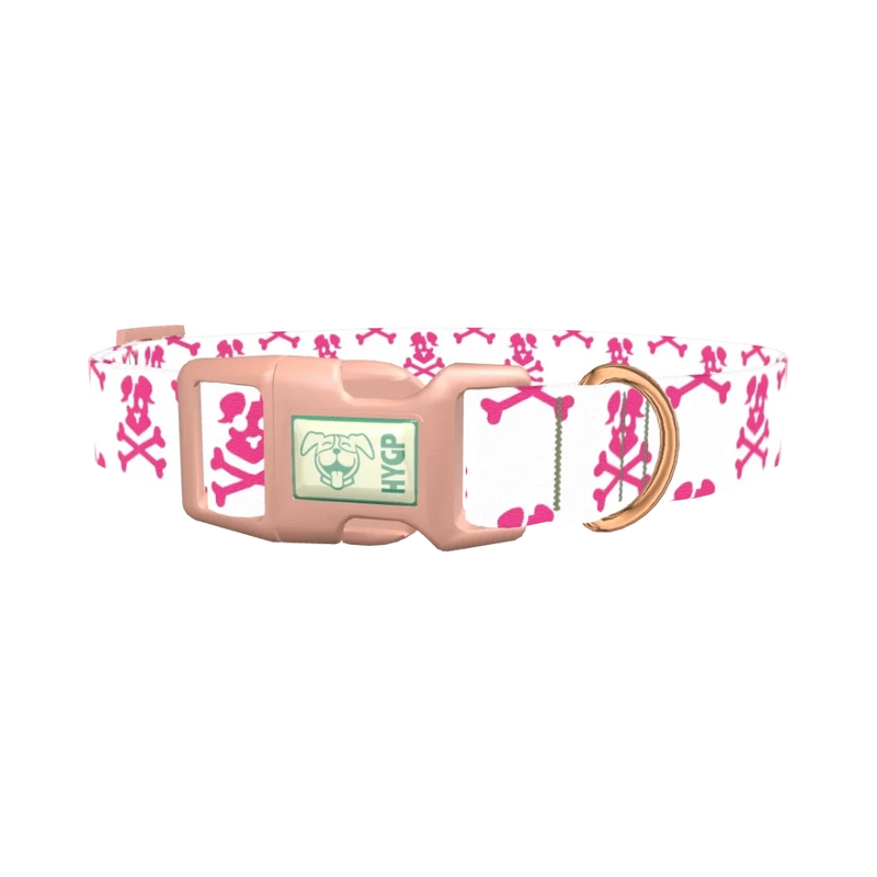 Pirate Dog Skull Dog Collar - plastic rose gold