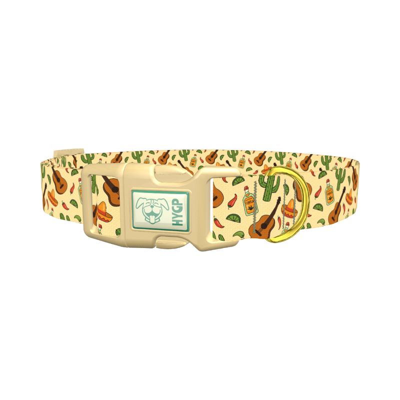 Mexican Fiesta Dog Collar - plastic gold