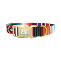 Mexican Stripe Pattern Dog Collar - plastic gold