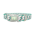 Silver Chain Turquoise Dog Collar - plastic silver