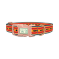 Retro Arrow Stripe Dog Collar - plastic rose gold