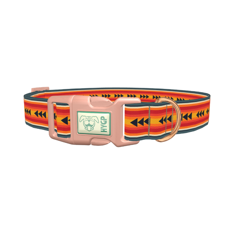 Retro Arrow Stripe Dog Collar - plastic rose gold
