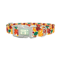 Multicolor Leaf Pattern Dog Collar - plastic silver