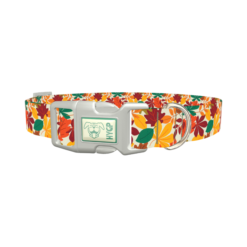 Multicolor Leaf Pattern Dog Collar - plastic silver