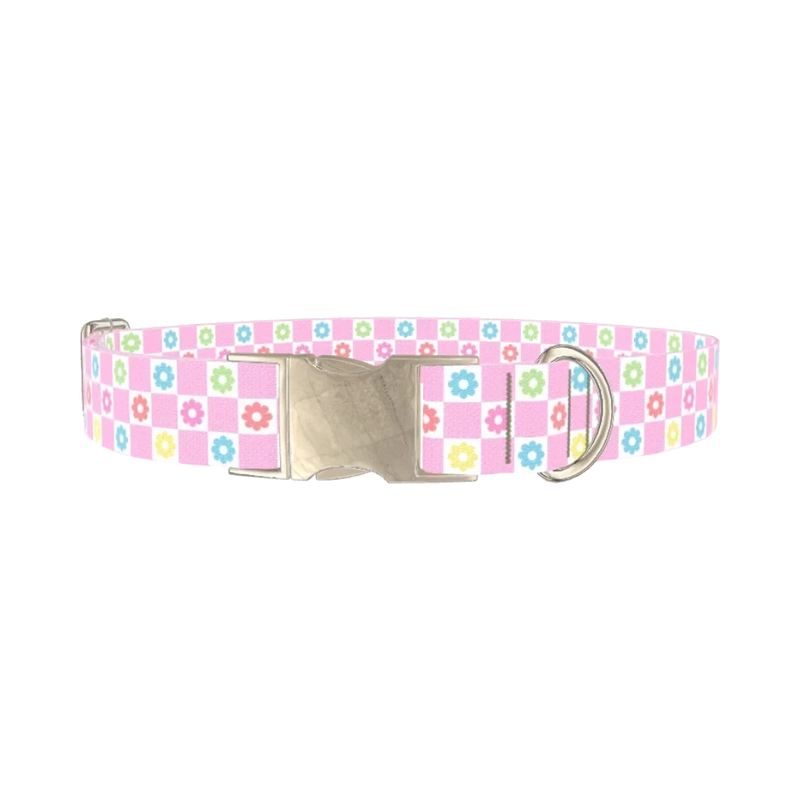 Floral Check Dog Collar - metal silver