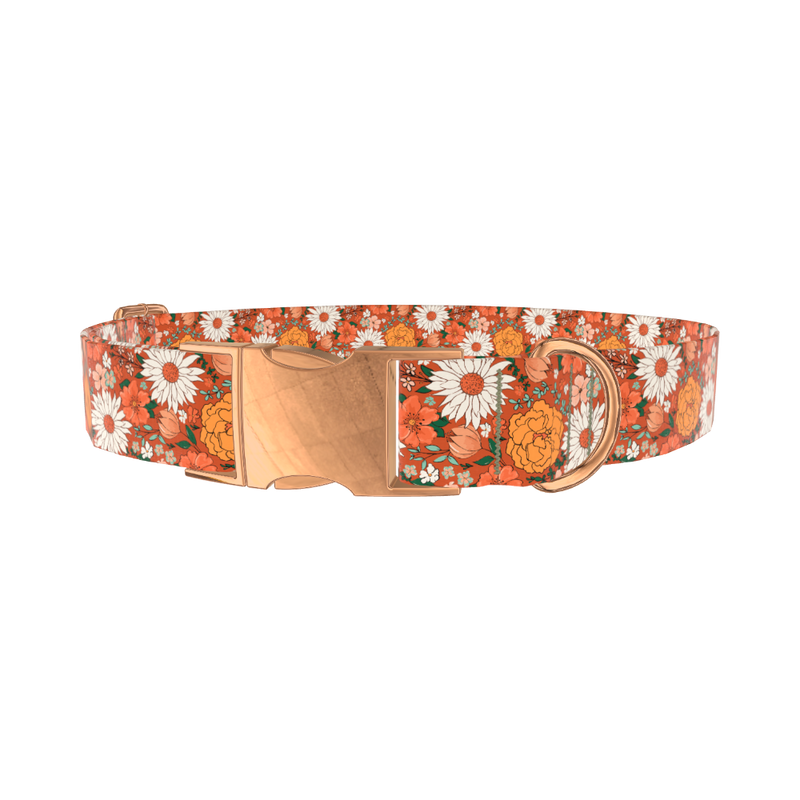 Autumn Floral Dog Collar - metal rose gold
