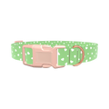 Green Heart Dog Collar - plastic gold
