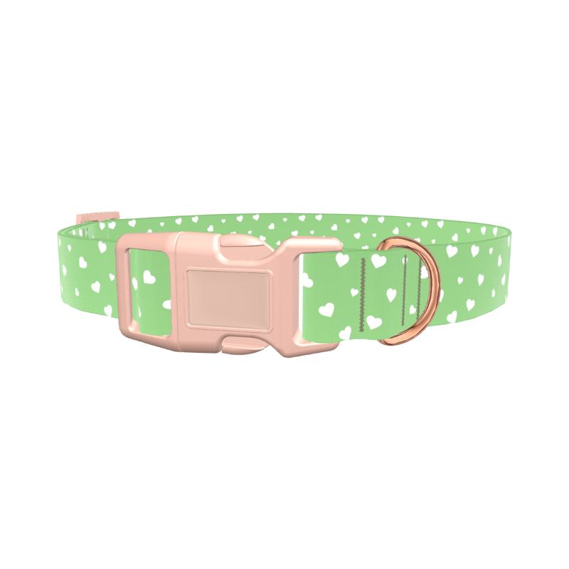 Green Heart Dog Collar - plastic gold